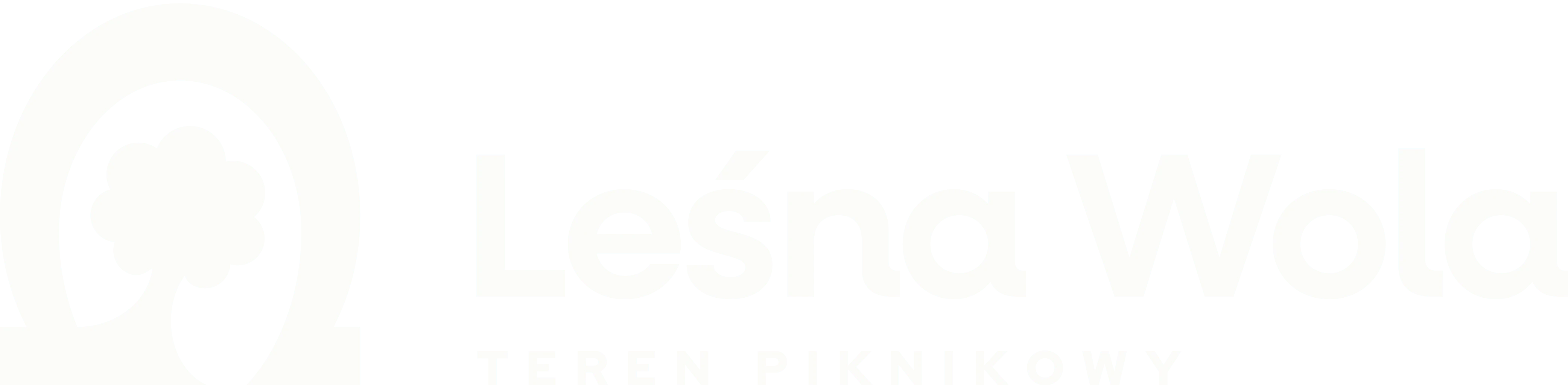 Leśna Wola — teren piknikowy